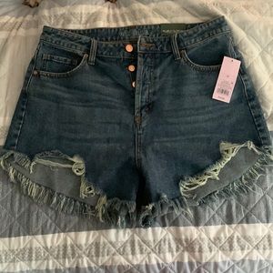 NWT Wild Fable jean shorts